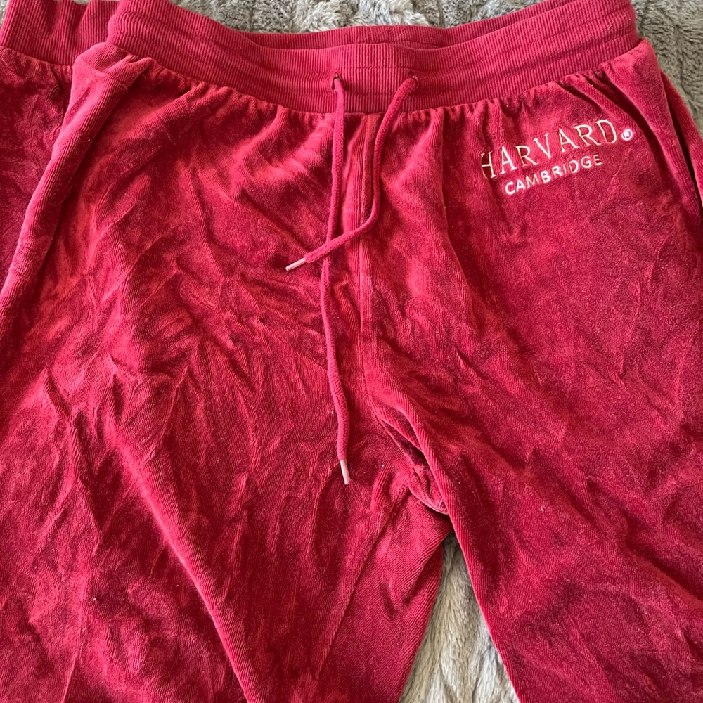 Forever 21 women’s Harvard sweatpants wine. Size medium